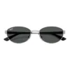 [RB3774D 003] Ray-Ban Sunglasses in Polished Arista and Dark Grey